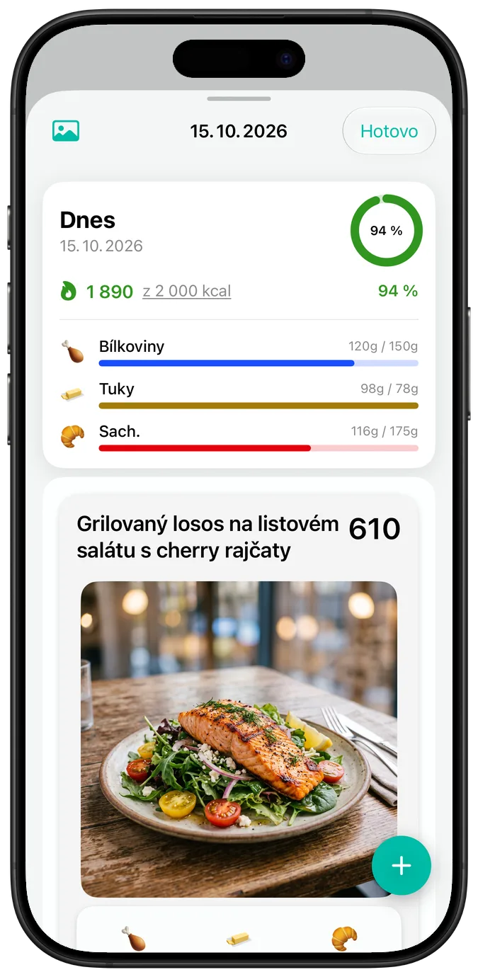 Souhrn dne při výchozí velikosti textu: kalorie, ukazatele plnění makroživin a fotka jídla Grilovaný losos na listovém salátu s cherry rajčaty