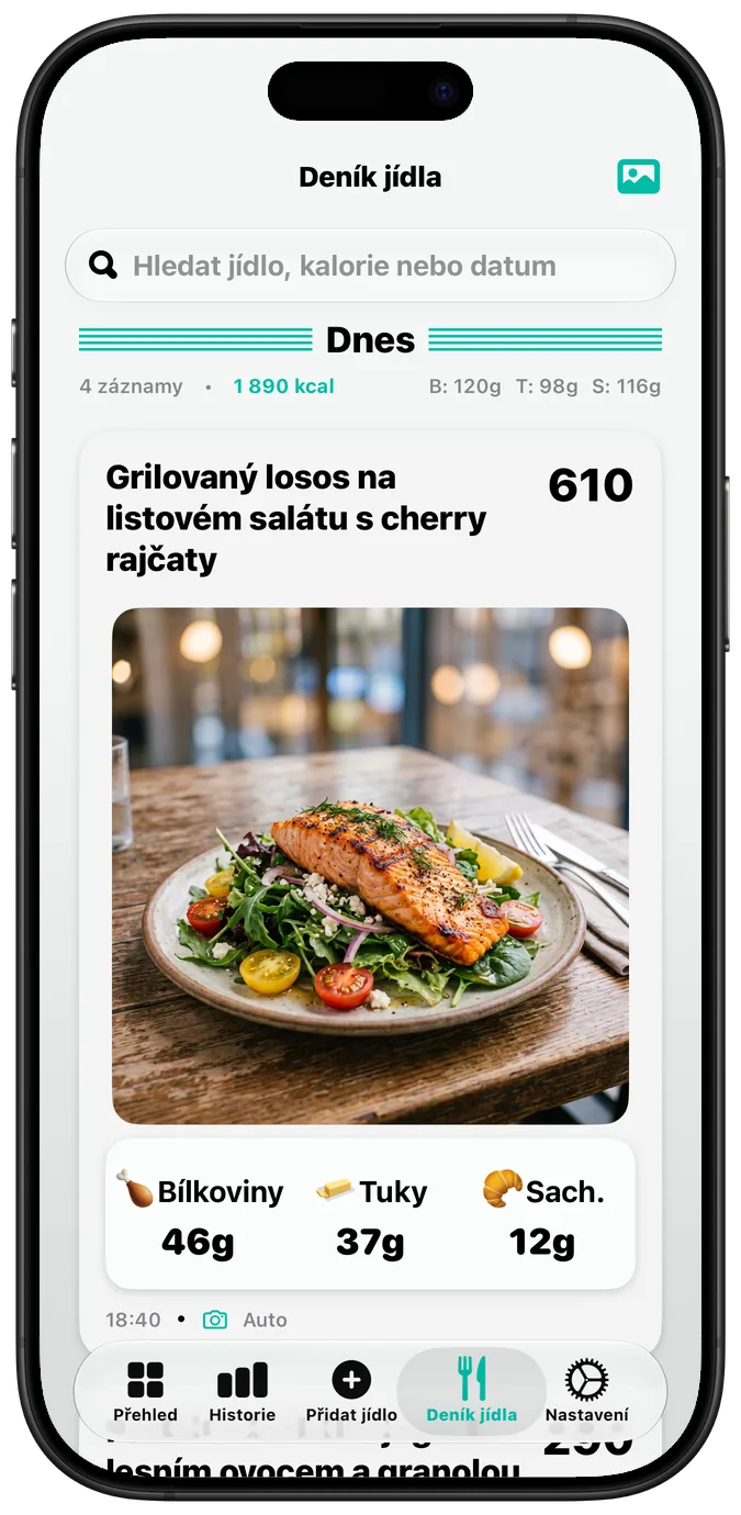 Deník jídla se zapnutou volbou „Tučný text“, všechny popisky výraznějším písmem