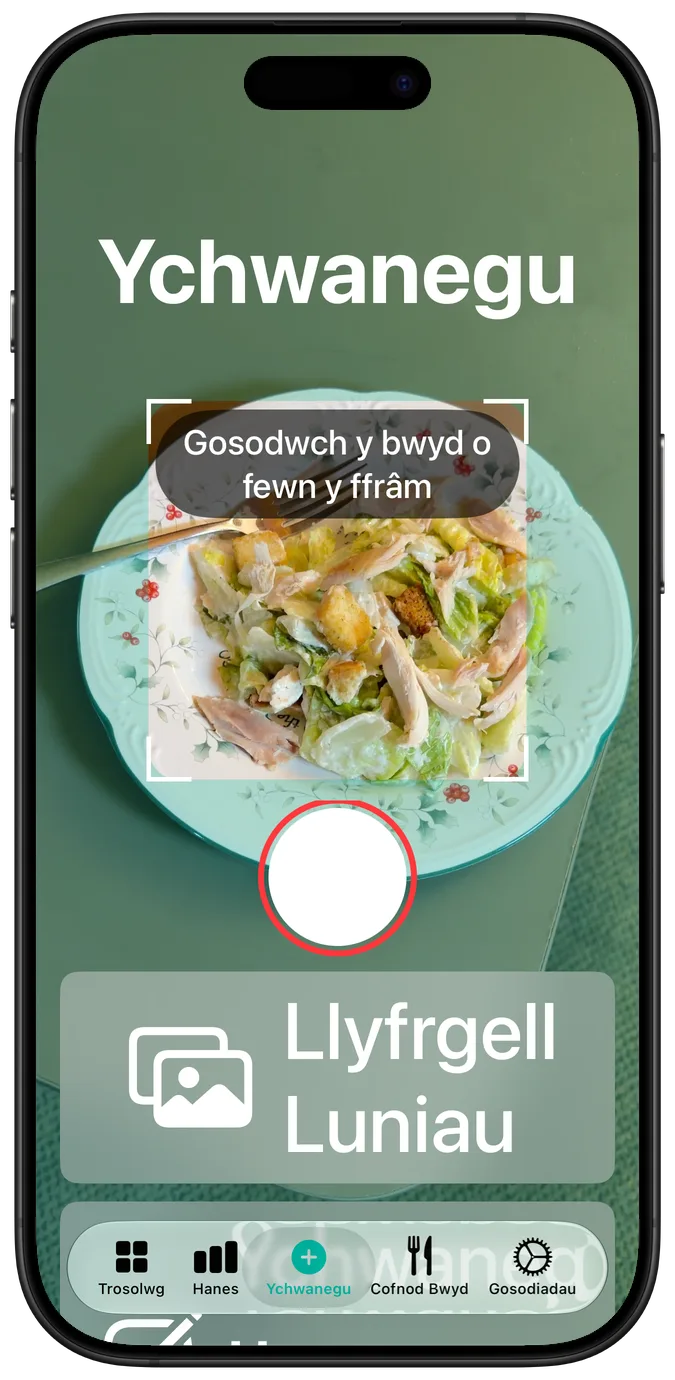 Sgrin y camera ar y maint testun hygyrchedd mwyaf, salad yn y ffrâm, a botymau’r caead a’r llyfrgell luniau wedi’u pentyrru oddi tano