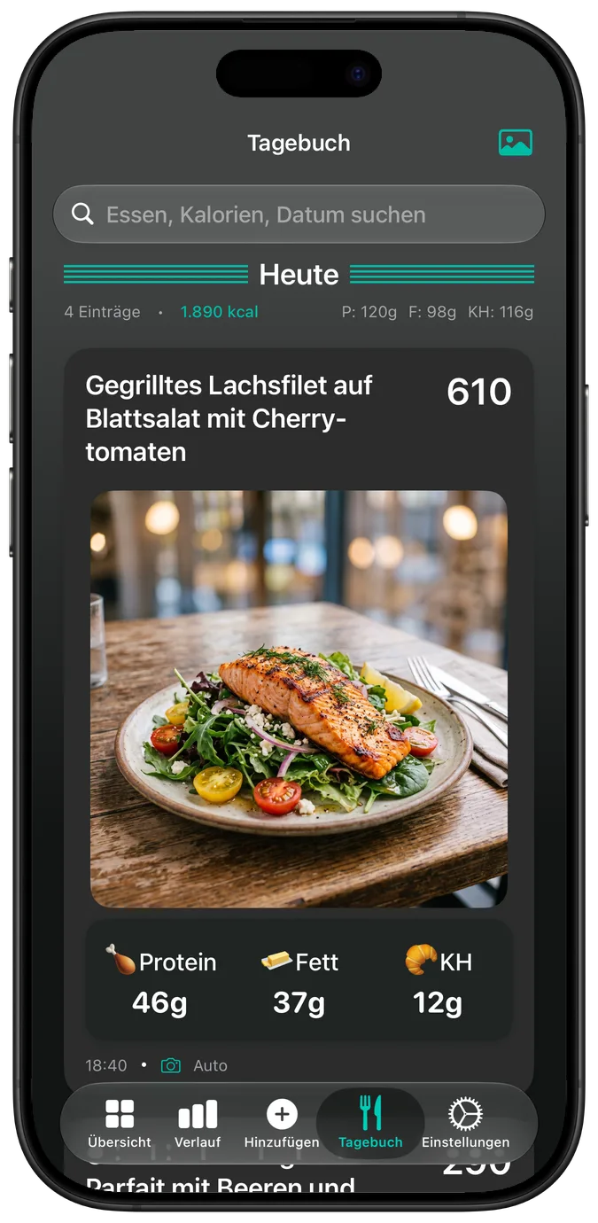 Das Tagebuch im Dunkelmodus