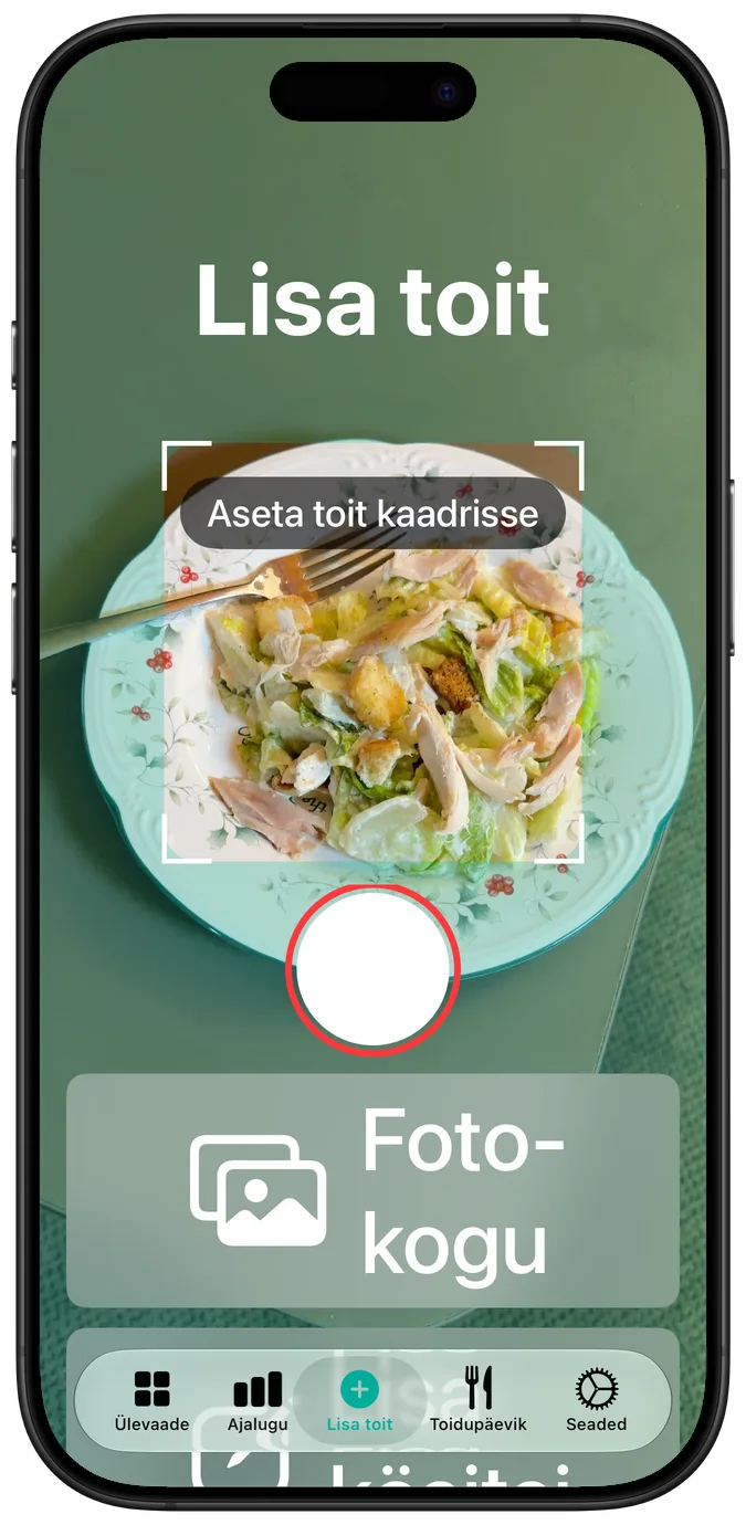 Kaamerakuva suurima hõlbustusteksti suurusega: salat kaadris ning päästik ja fototeegi nupp selle all üksteise kohal