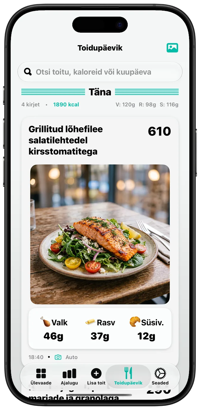 Toidupäevik, kui seade Paks tekst (Bold Text) on sees: kõik sildid paksemas kirjas