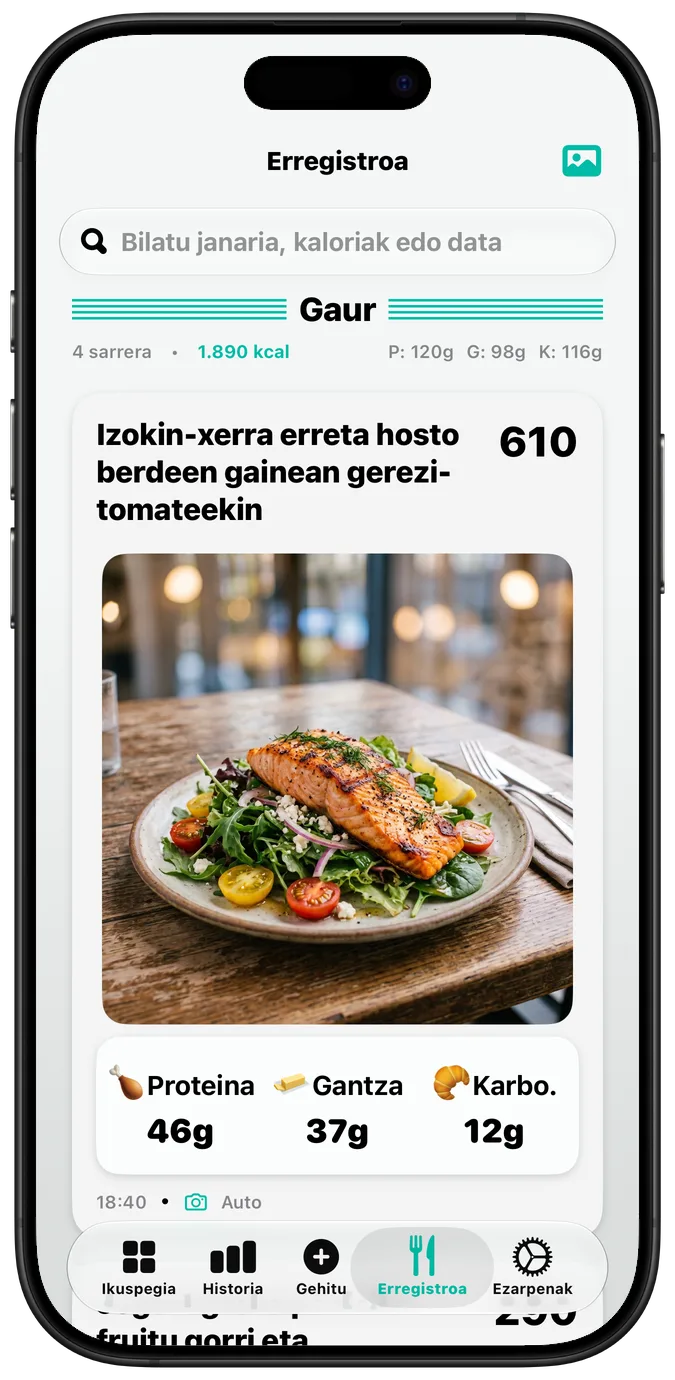 Elikagaien erregistroa Testu lodia (Bold Text) aukera aktibatuta, etiketa guztiak lodiago