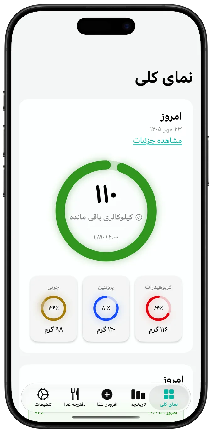 نمای کلی کالری روزانه
