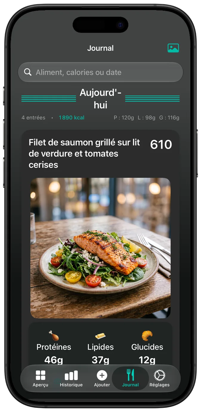 Le journal alimentaire en mode sombre