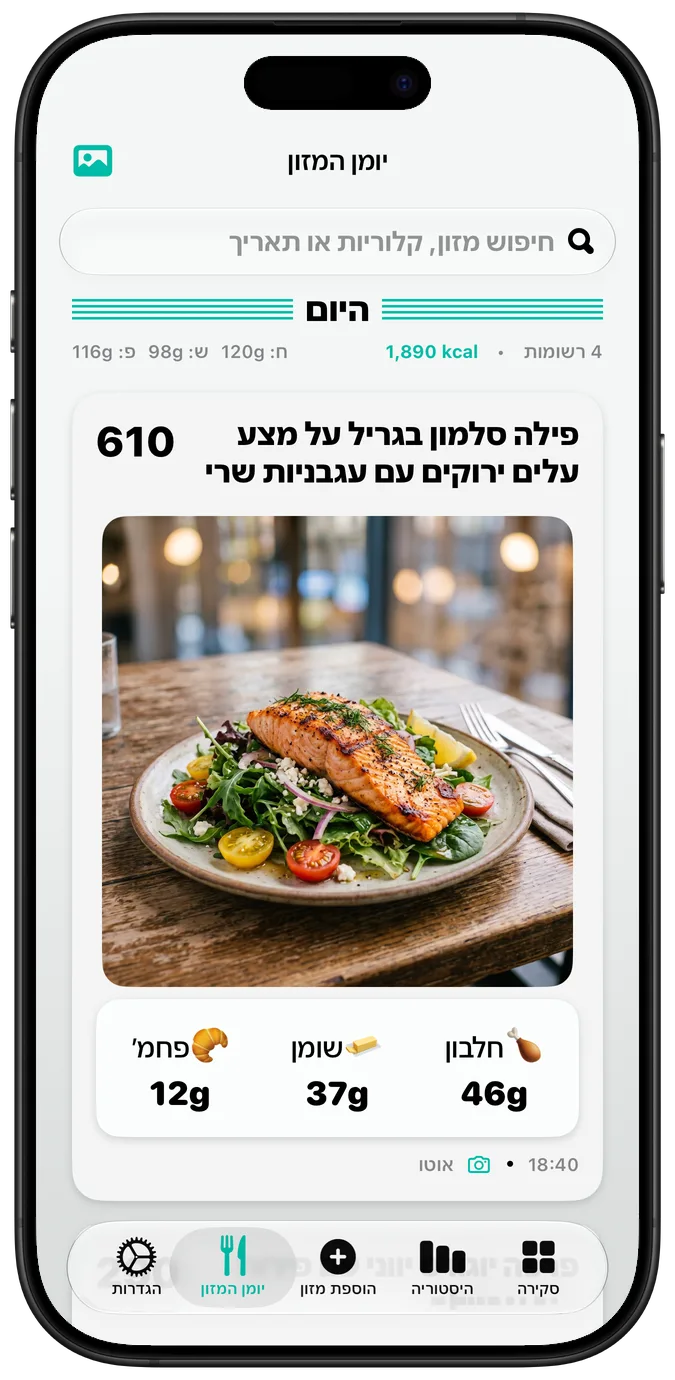 יומן המזון כשהאפשרות ”מלל עבה” מופעלת, וכל התוויות במשקל עבה יותר