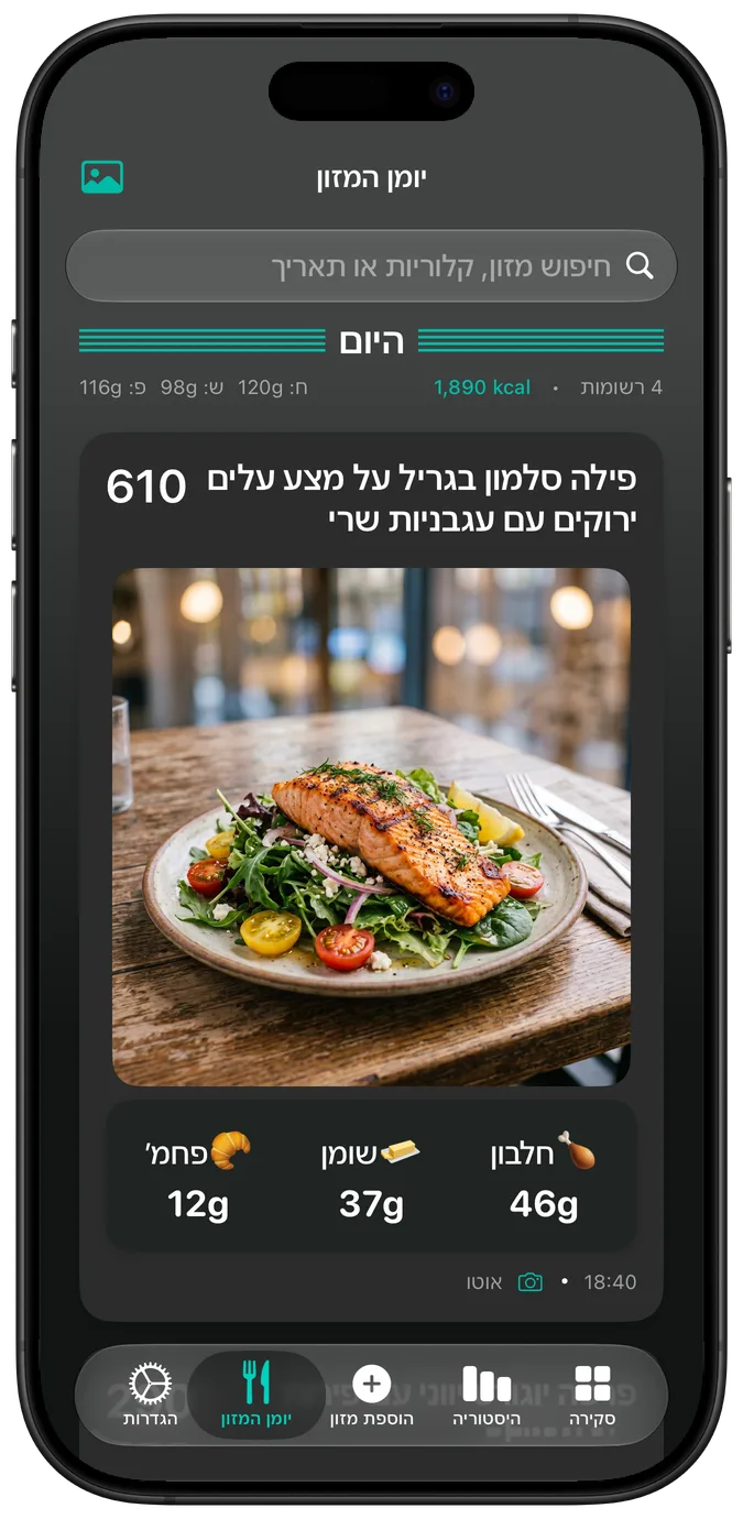 יומן המזון במצב כהה