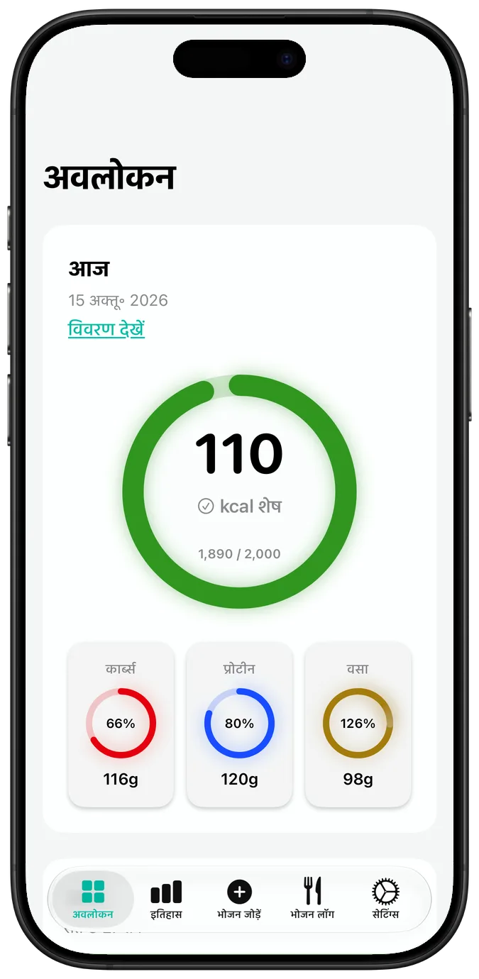 दिन की कैलोरी का अवलोकन