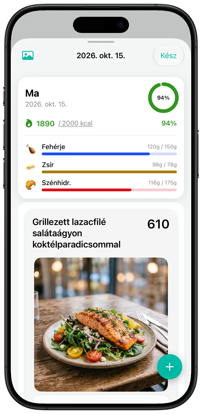 Egy nap összesítése alapértelmezett szövegmérettel: kalóriák, a makrók folyamatjelzői és egy fotó – Grillezett lazacfilé salátaágyon koktélparadicsommal