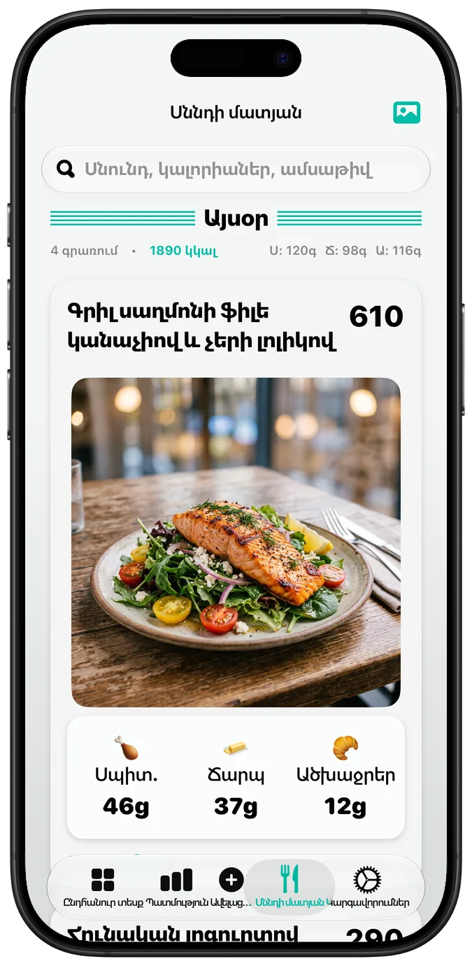 Սննդի մատյանը՝ «Թավ տեքստ (Bold Text)» կարգավորումը միացված, բոլոր պիտակներն ավելի թավ