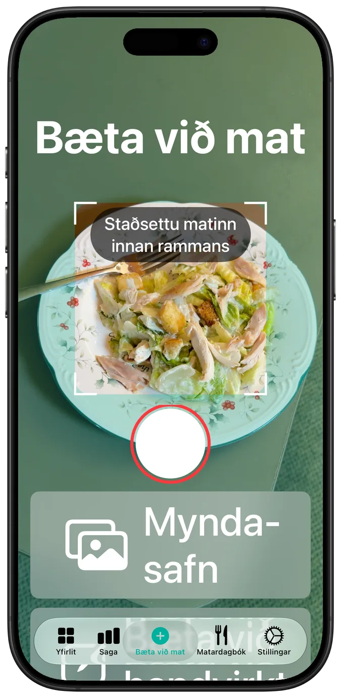 Myndavélarskjárinn í stærstu aðgengisleturstærð: salat í mynd og afsmellarinn og myndasafnshnappurinn hvor undir öðrum fyrir neðan
