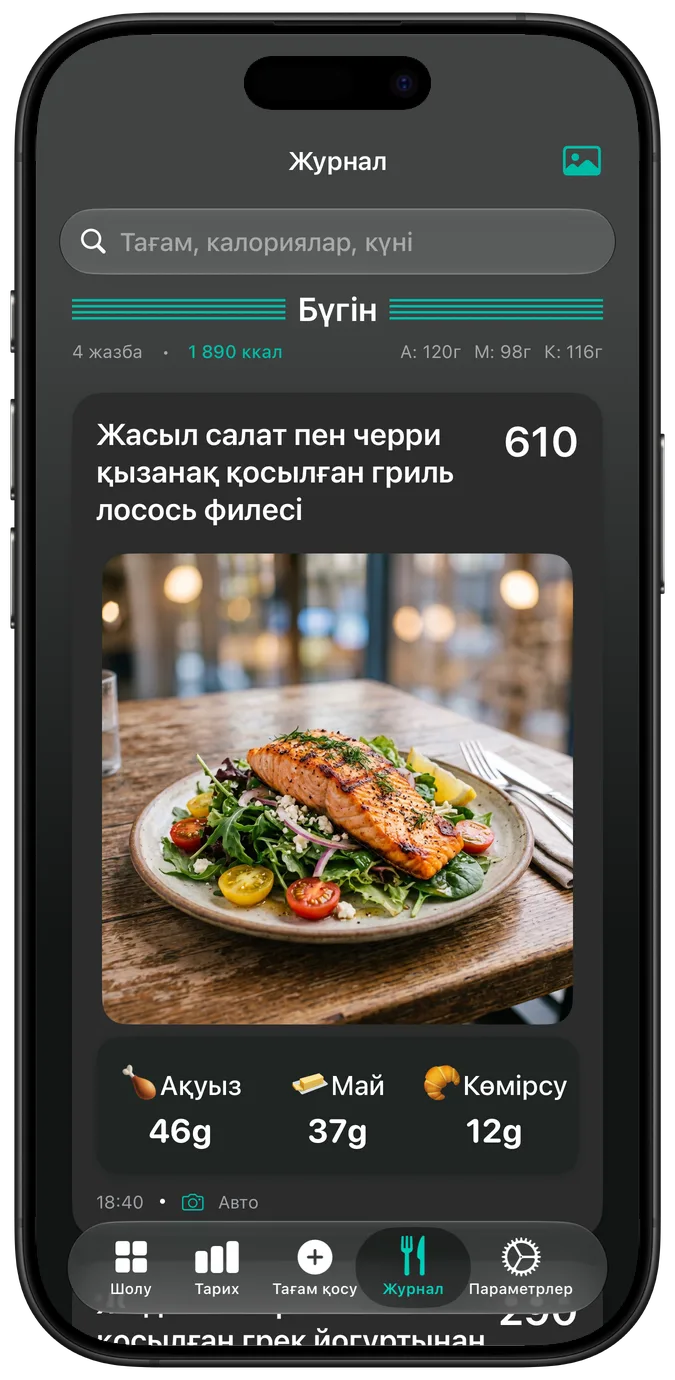 Қараңғы режимдегі тағам журналы