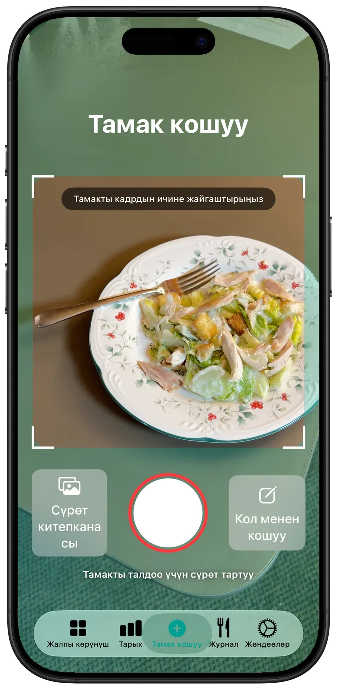 Тамак кошуу экраны