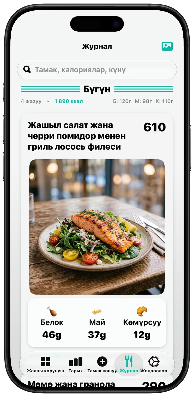 «Жоон текст (Bold Text)» күйгүзүлгөн тамак журналы: бардык жазуулар жооновураак