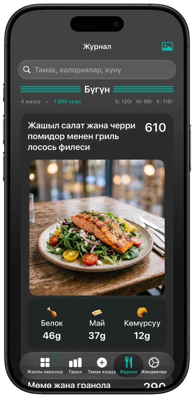 Караңгы режимдеги тамак журналы