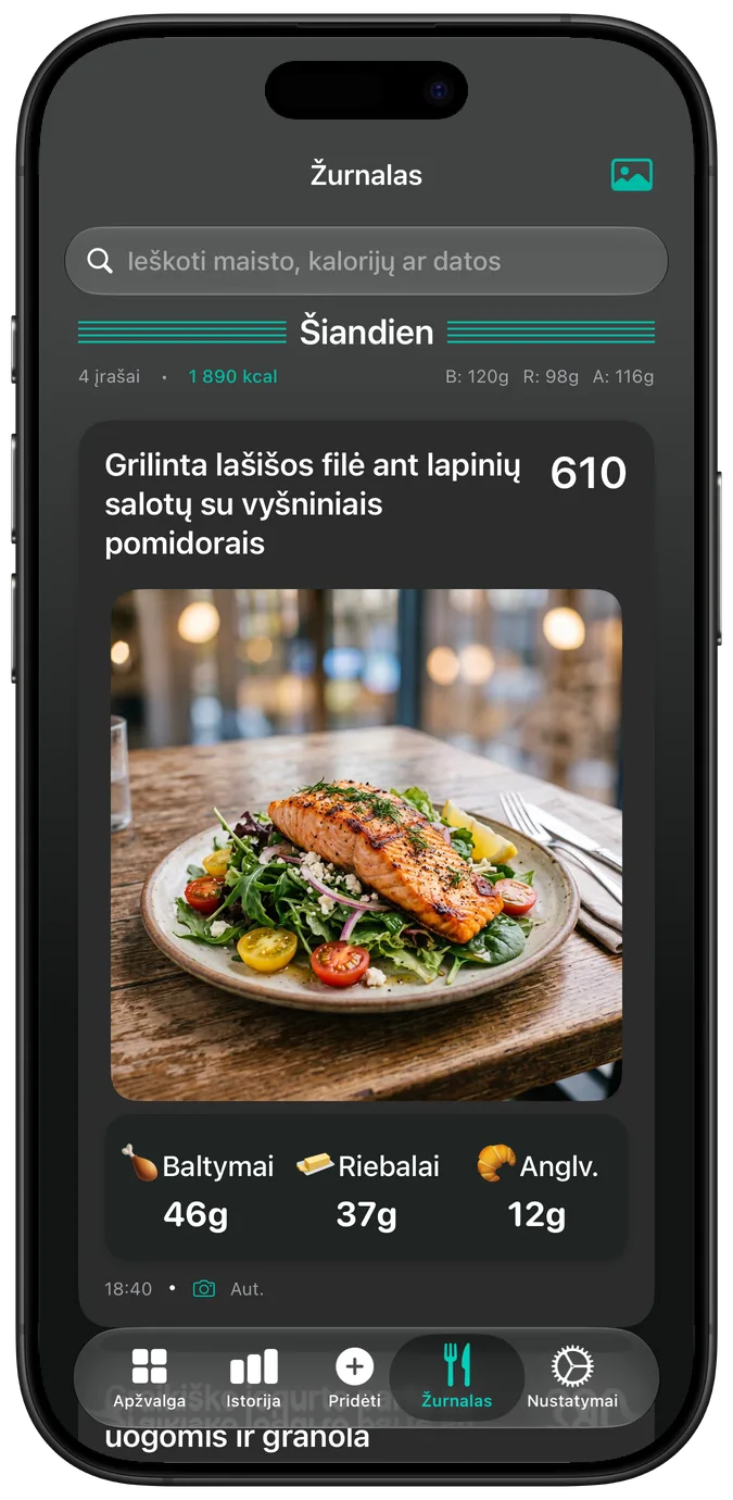 Maisto žurnalas tamsiuoju režimu