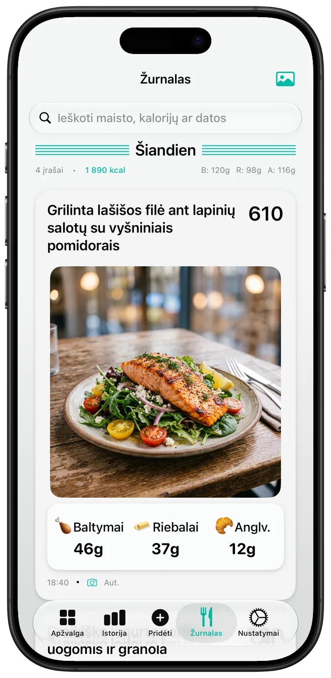 Maisto žurnalas su nuotraukomis
