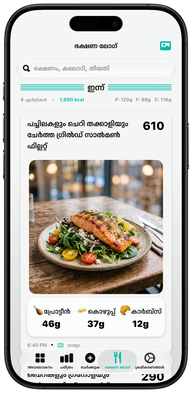 “ടെക്സ്റ്റ് ബോൾഡ് ആക്കൂ” ക്രമീകരണം ഓണാക്കിയ ഭക്ഷണ ലോഗ്; എല്ലാ ലേബലുകളും കൂടുതൽ കട്ടിയിൽ