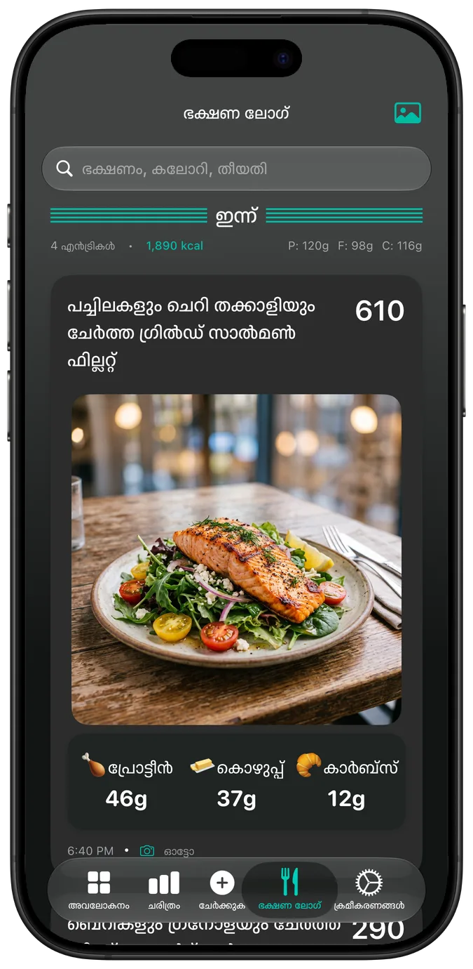 ഡാർക്ക് മോഡിലുള്ള ഭക്ഷണ ലോഗ്