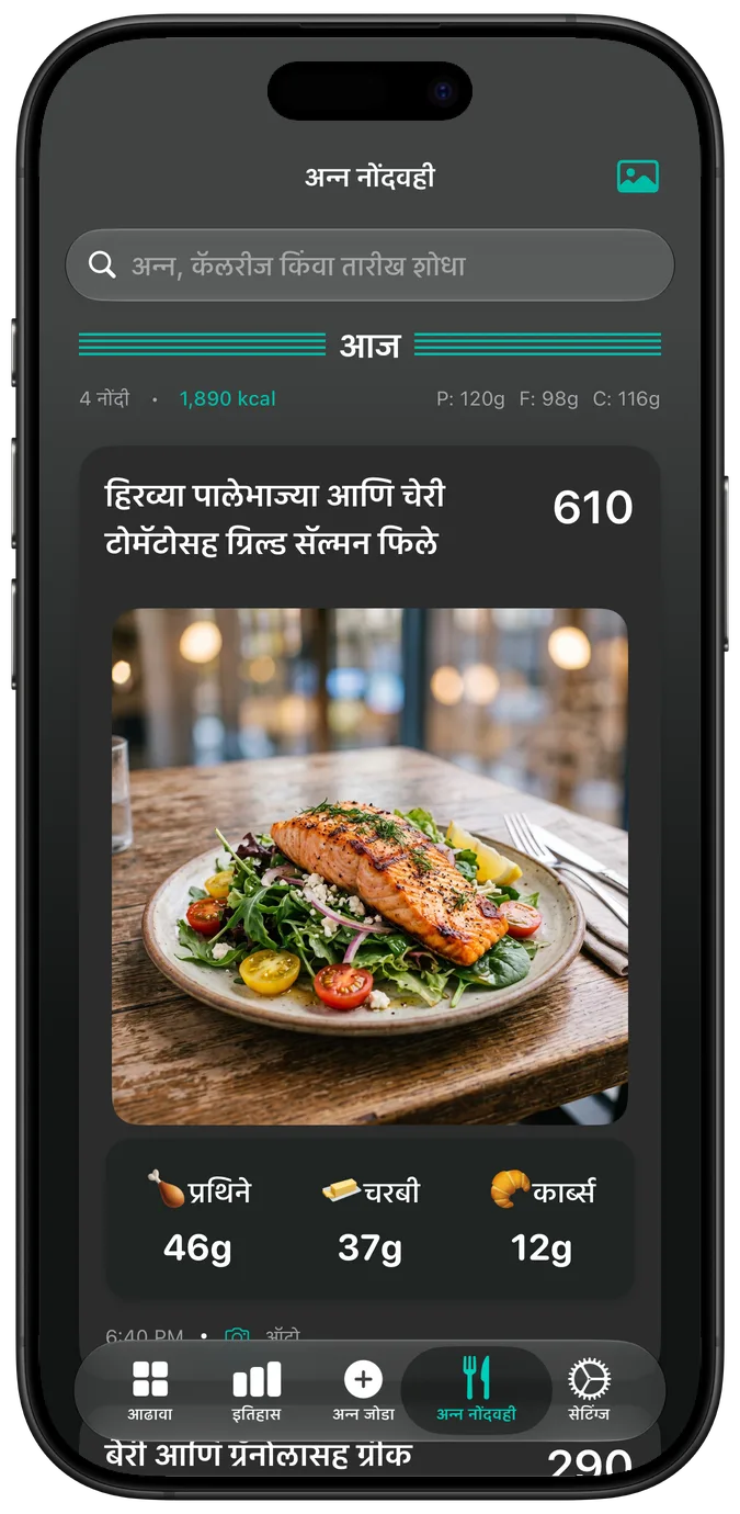 डार्क मोडमधील अन्न नोंदवही