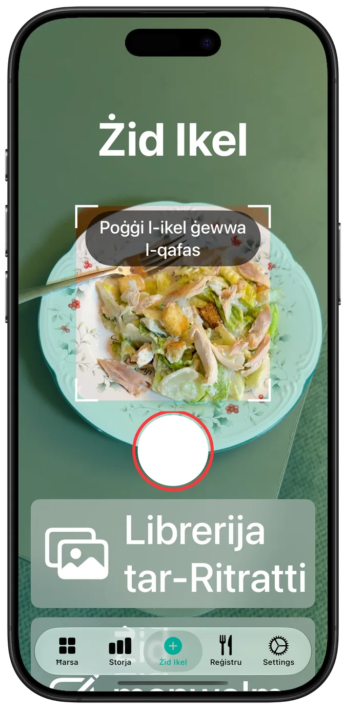 L-iskrin tal-kamera fl-akbar daqs tat-test tal-aċċessibbiltà, b’insalata fil-qafas u, taħtha, il-buttuni tax-xatter u tal-librerija tar-ritratti wieħed fuq l-ieħor
