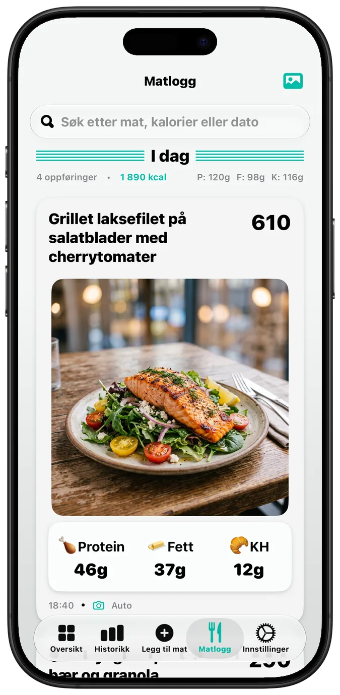 Matloggen med «Halvfet tekst» slått på, alle etiketter i kraftigere skrift