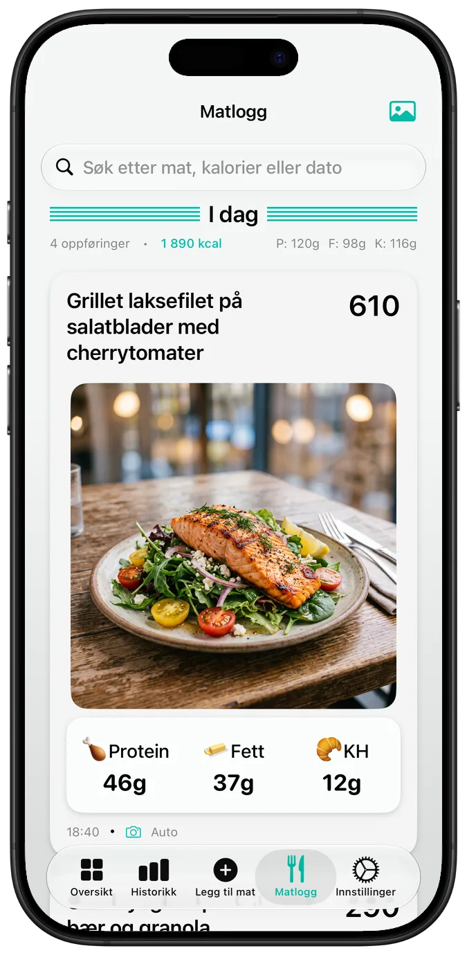 Matlogg med bilder