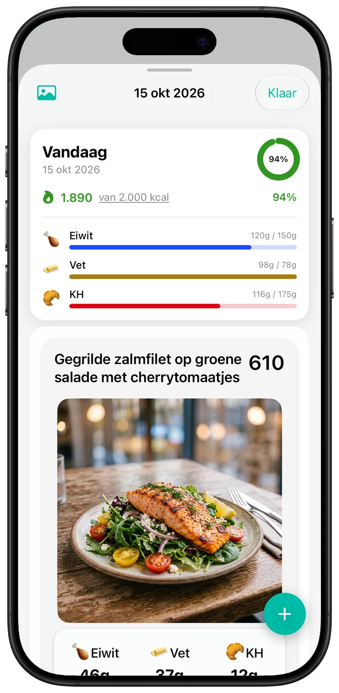 Een dagoverzicht in de standaardtekstgrootte: calorieën, voortgangsbalken voor de macro’s en een foto van “Gegrilde zalmfilet op groene salade met cherrytomaatjes”