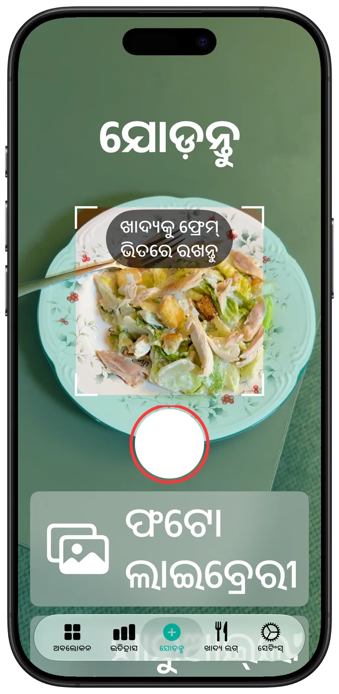 ସବୁଠାରୁ ବଡ଼ ଆକ୍ସେସିବିଲିଟି ଟେକ୍ସଟ୍ ସାଇଜ୍‌ରେ କ୍ୟାମେରା ସ୍କ୍ରିନ୍: ଫ୍ରେମ୍‌ରେ ଏକ ସାଲାଡ୍, ତା’ ତଳେ ସଟର ଓ ଫଟୋ ଲାଇବ୍ରେରୀ ବଟନ୍ ଗୋଟିଏ ତଳେ ଗୋଟିଏ