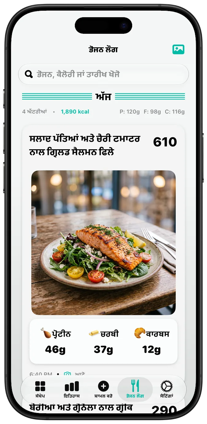 “ਗੂੜ੍ਹਾ ਟੈਕਸਟ” ਚਾਲੂ ਹੋਣ ’ਤੇ ਭੋਜਨ ਲੌਗ: ਹਰ ਲੇਬਲ ਹੋਰ ਗੂੜ੍ਹੇ ਅੱਖਰਾਂ ਵਿੱਚ