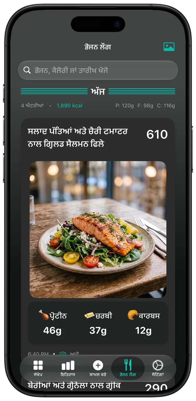ਡਾਰਕ ਮੋਡ ਵਿੱਚ ਭੋਜਨ ਲੌਗ