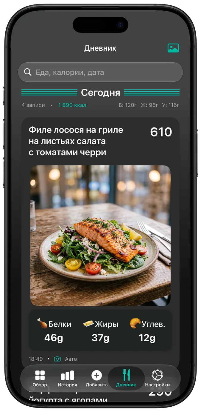 Дневник в тёмном режиме