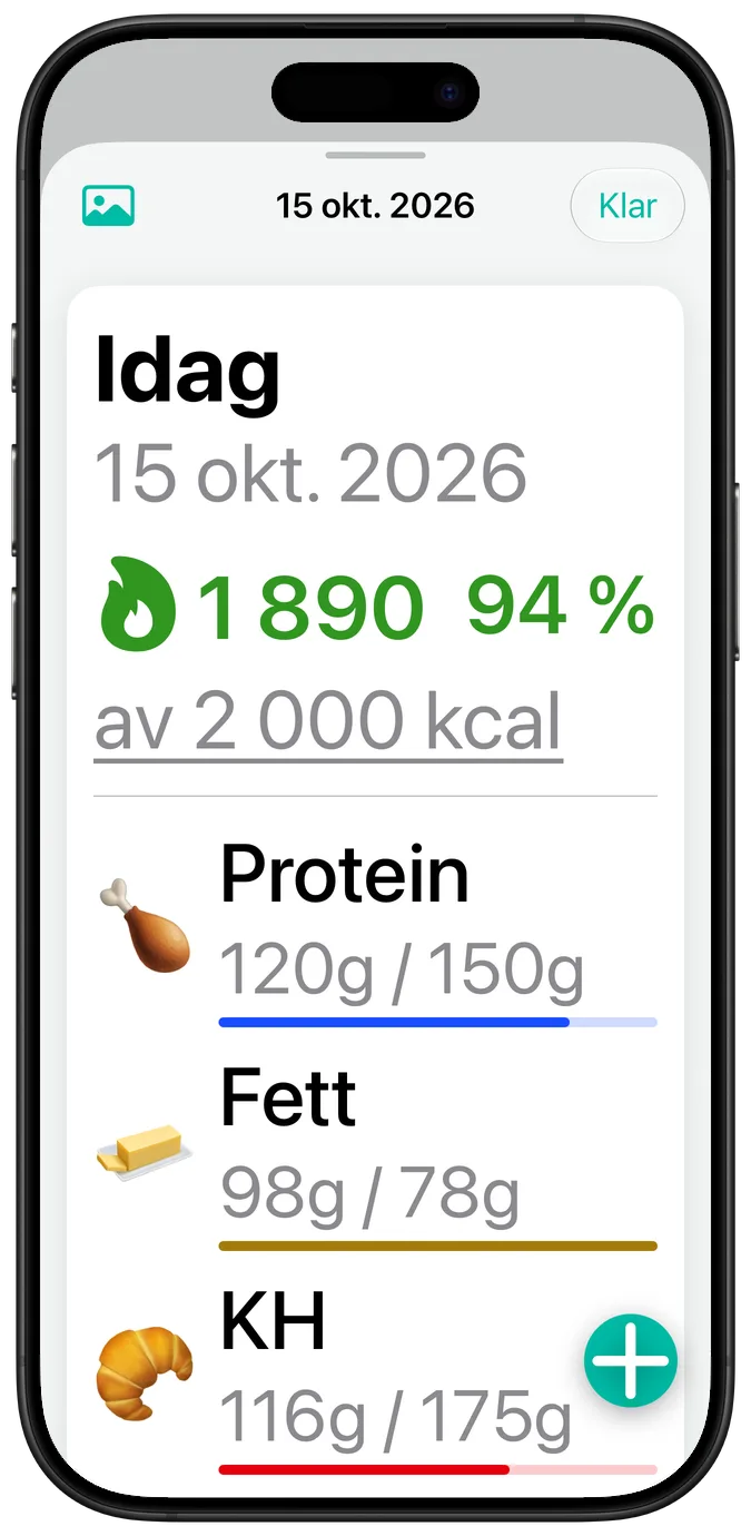 En dagssammanfattning i den största textstorleken för hjälpmedel, med varje makros siffror radbrutna under namnet