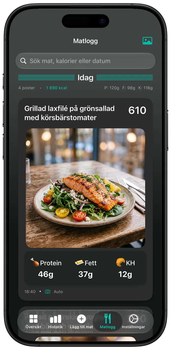 Matloggen i mörkt läge