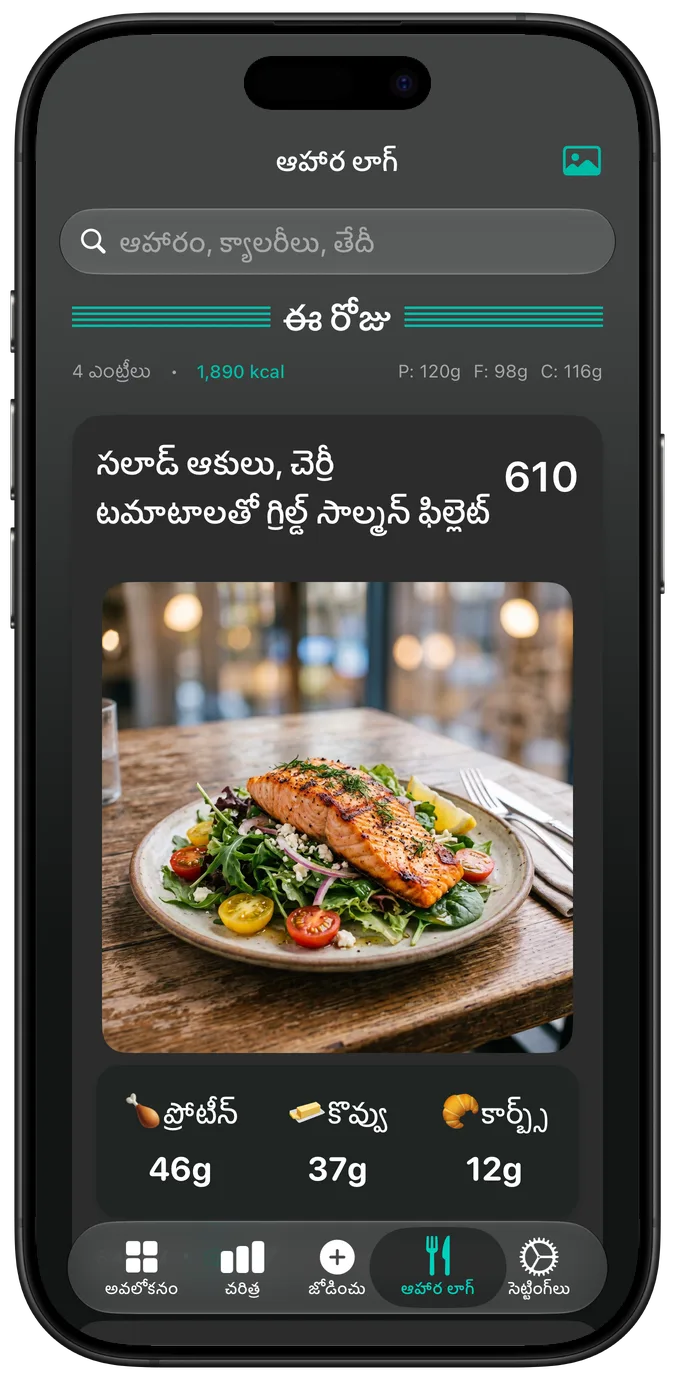 డార్క్ మోడ్‌లో ఆహార లాగ్