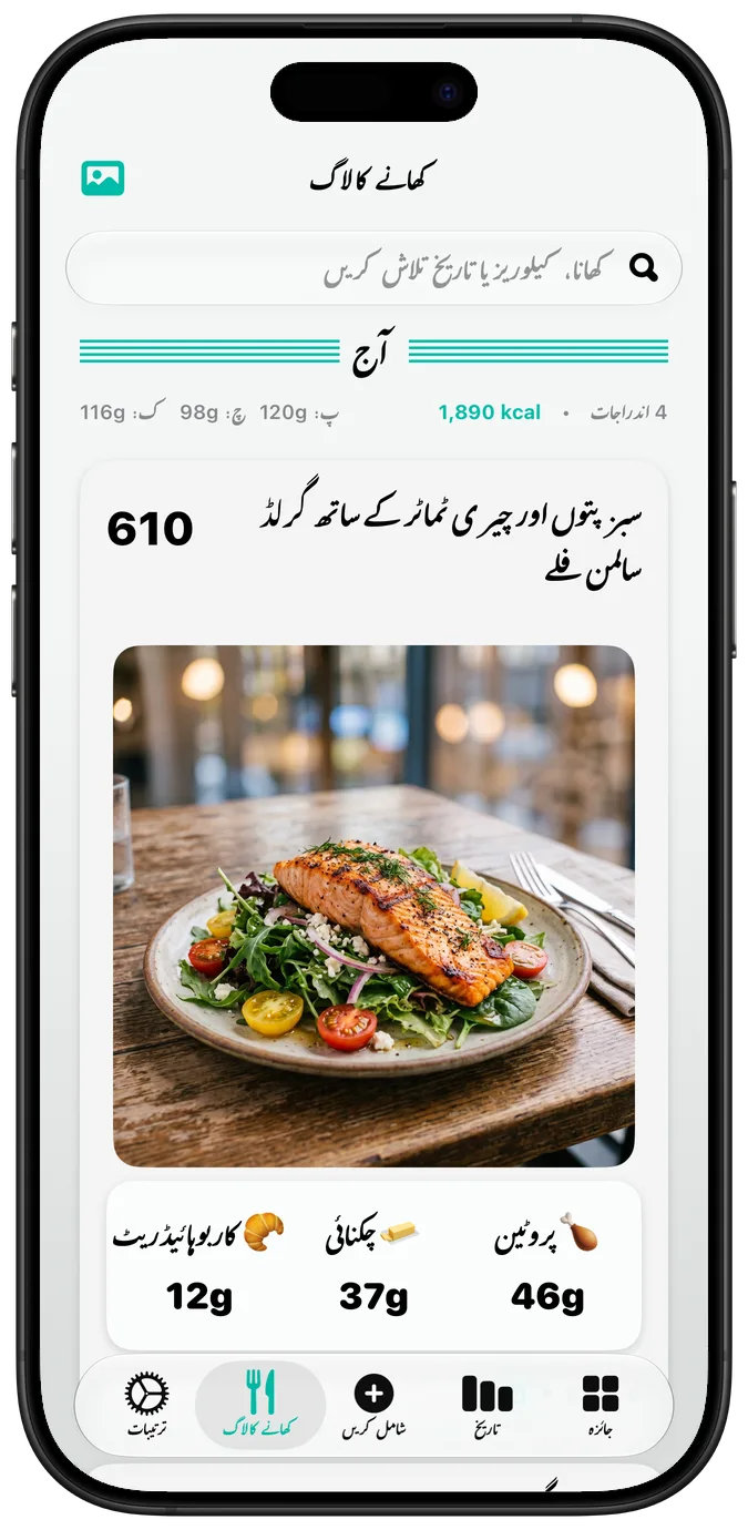 “بولڈ متن” آن ہونے پر کھانے کا لاگ، ہر لیبل زیادہ موٹا