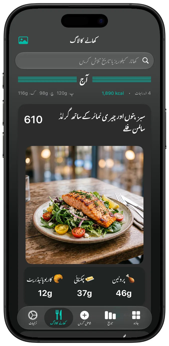 تاریک موڈ میں کھانے کا لاگ
