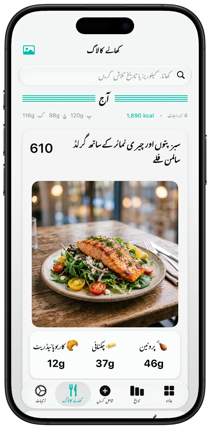 تصاویر کے ساتھ کھانے کا لاگ