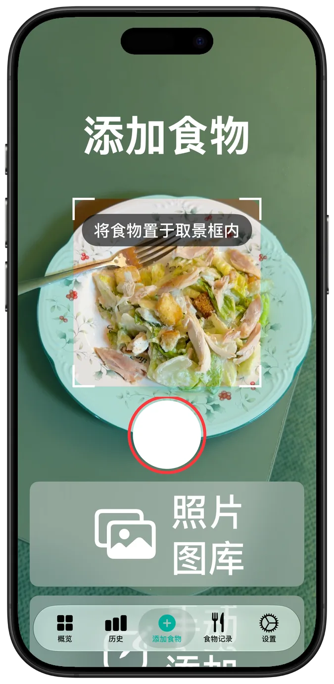 以最大辅助功能字号显示的相机画面，取景框中是一盘沙拉，快门和相册按钮叠放在下方