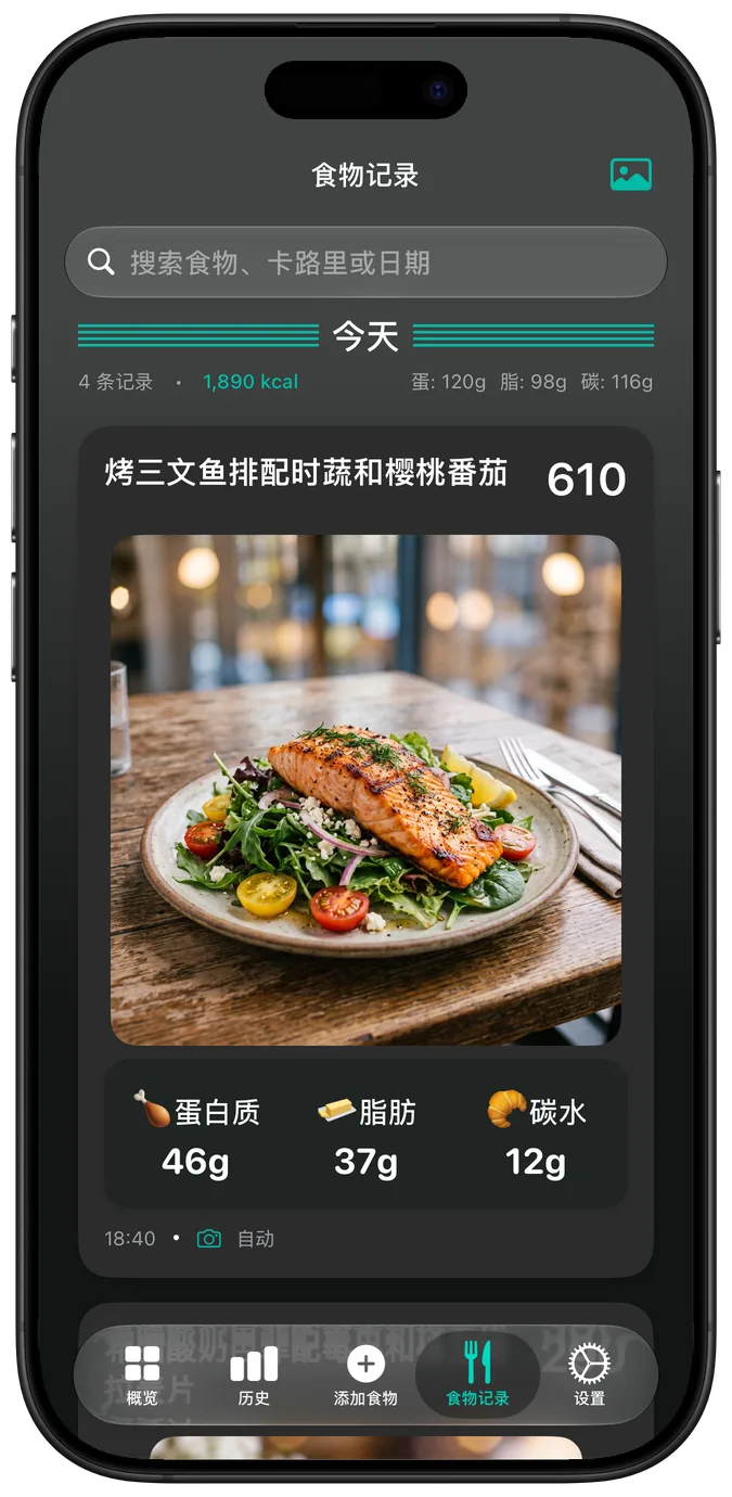 深色模式下的食物记录